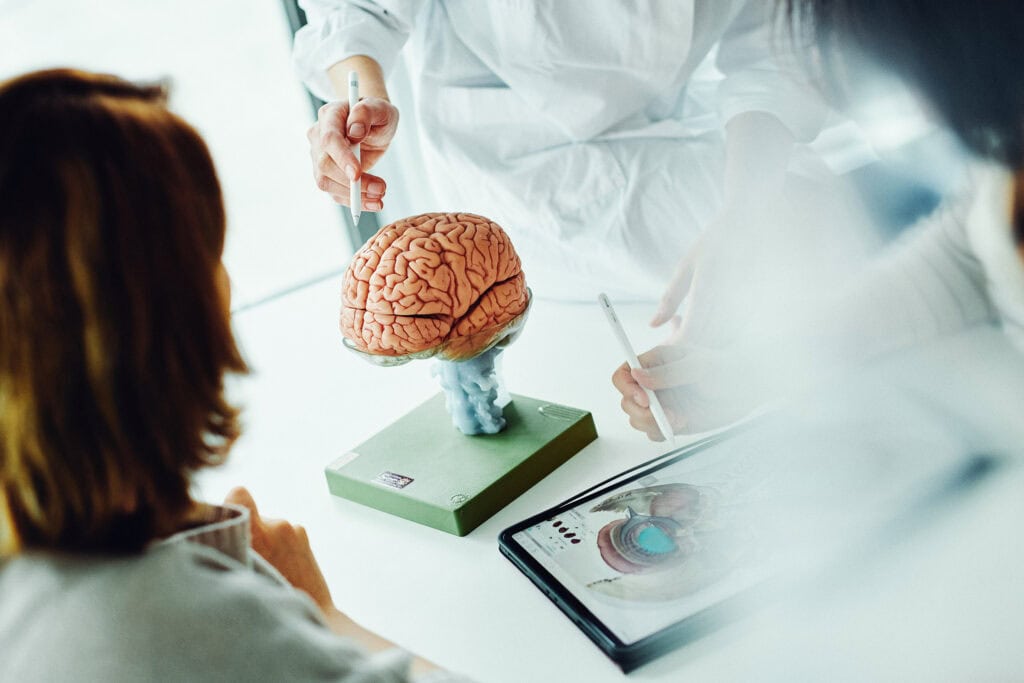 Wissenschaftlerinnen und Wissenschaftler diskutieren anhand eines anatomischen Gehirnmodells